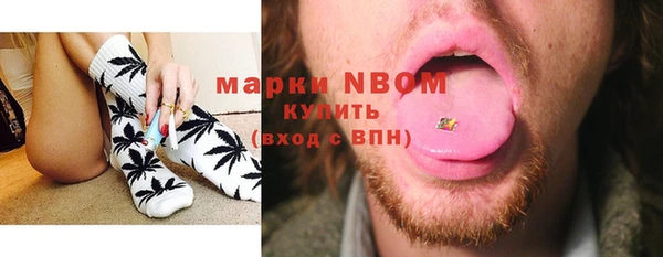шишки Алзамай