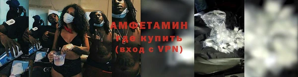 шишки Алзамай