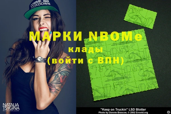 шишки Алзамай