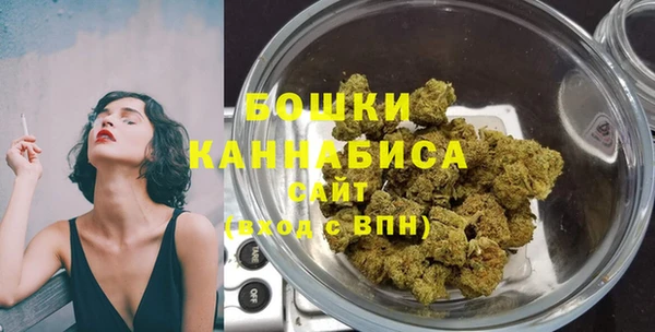 шишки Алзамай