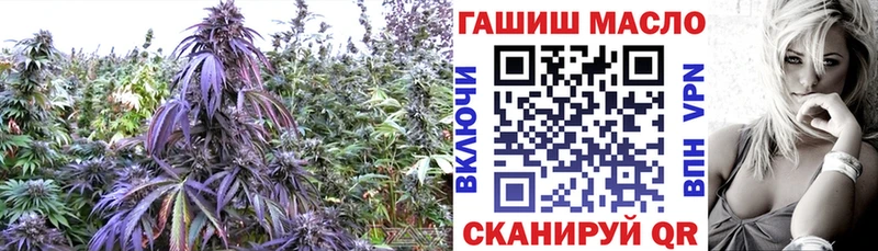 Дистиллят ТГК THC oil hydra маркетплейс Пласт