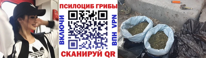 Псилоцибиновые грибы MAGIC MUSHROOMS  Пласт 